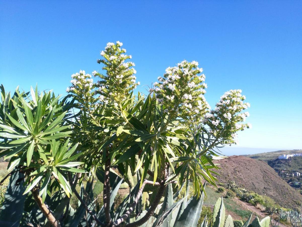 Chalet Ruta Las Lagunetas 维加-德圣马特奥 外观 照片